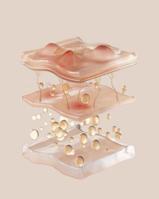 epidermio sluoksniai